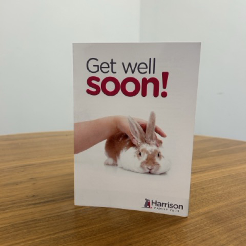 Get Well Soon Cards – Rabbit (Supplied as 100s)
