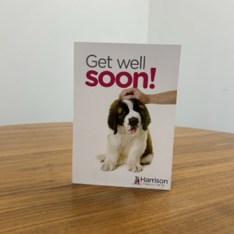 Get Well Soon Cards – Dog (Supplied as 500s)