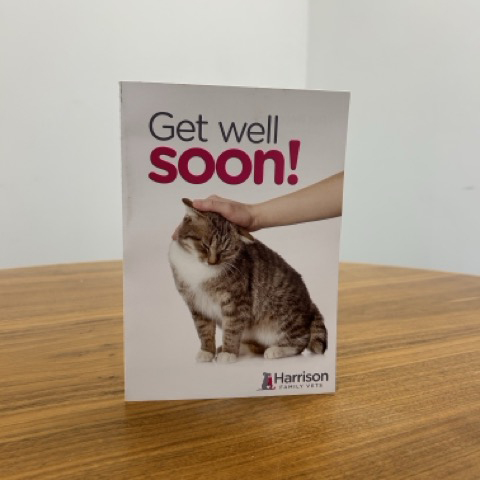 Get Well Soon Cards – Cat (Supplied as 500s)