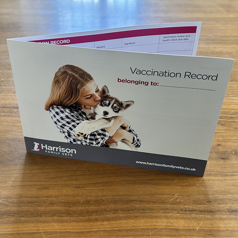 Vaccination Record Cards – Dog (Supplied as 500 cards)