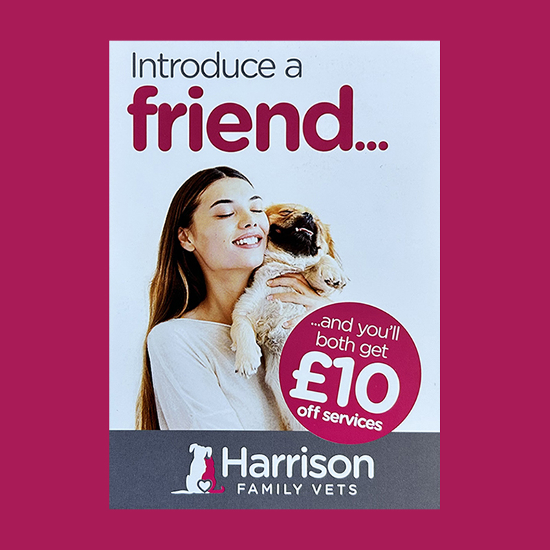 A0 Recommend a Friend Poster (Each)