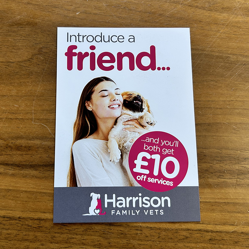 Recommend a Friend Leaflets (500s)