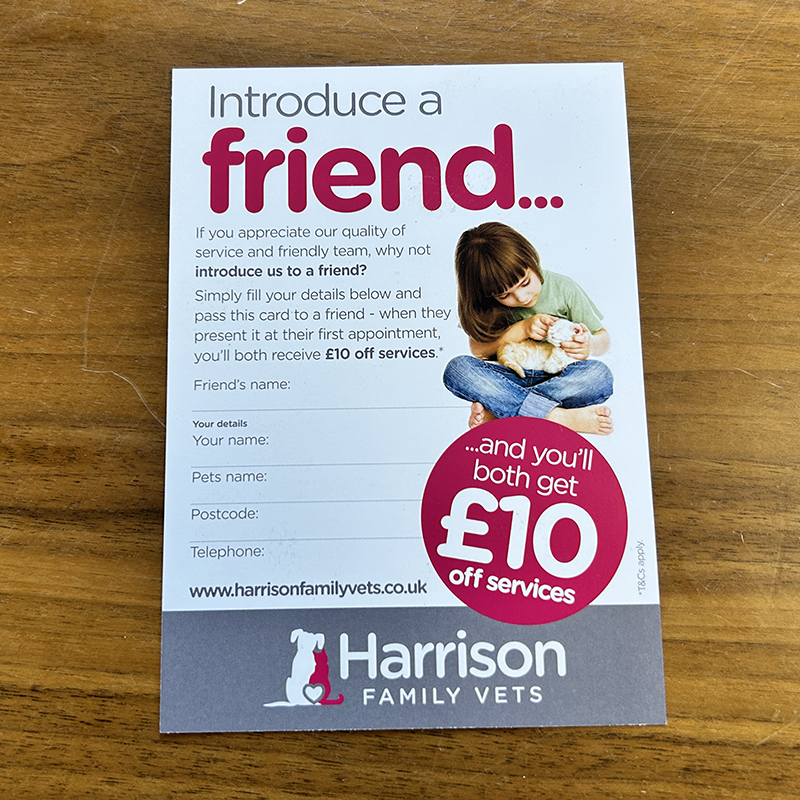 Recommend a Friend Leaflets (500s) - Image 2