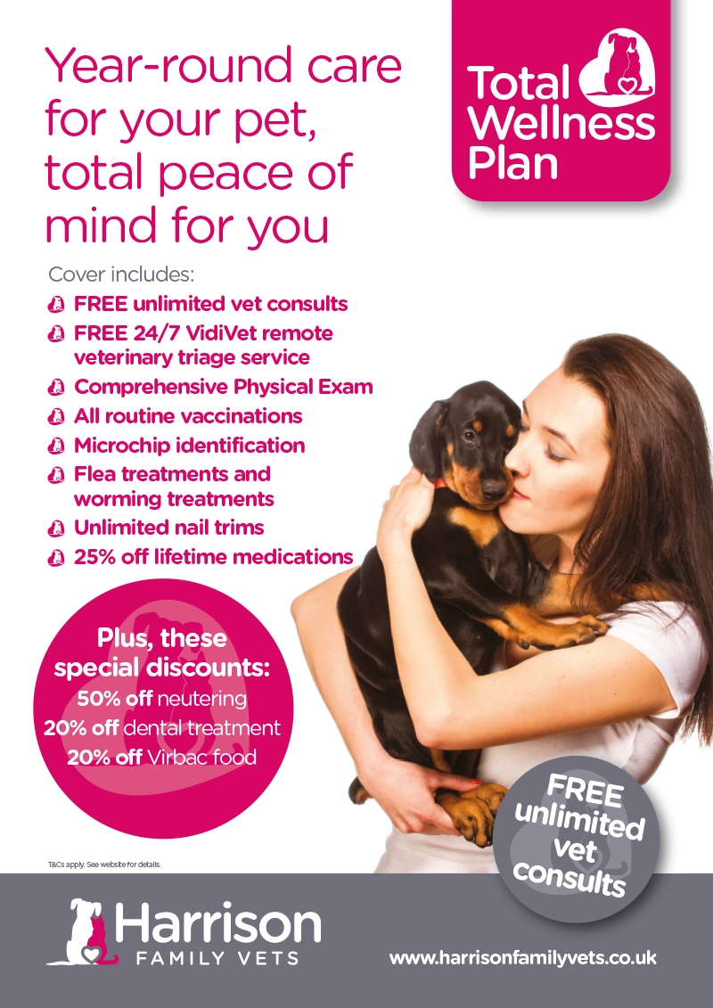 A0 TWP Poster (Benefits – Dog)