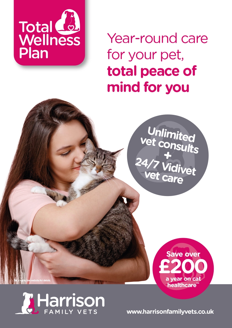 A0 TWP Poster (Price Saving – Cat)