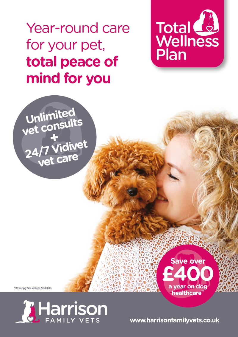 A0 TWP Poster (Price Saving – Dog)