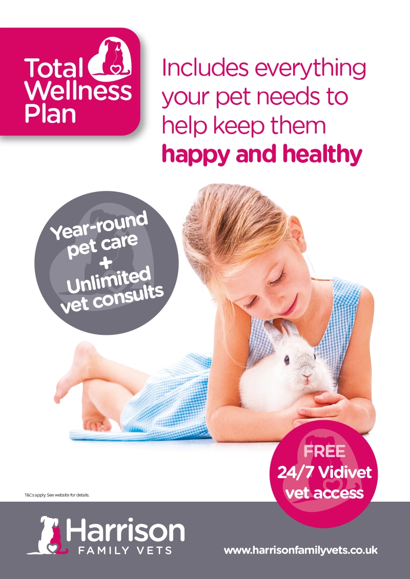 A0 TWP Poster (Rabbit)