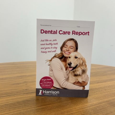 Dental Care Report Cards